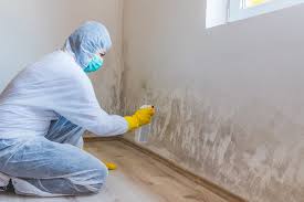 Best Attic Mold Removal  in Vandenberg Village, CA