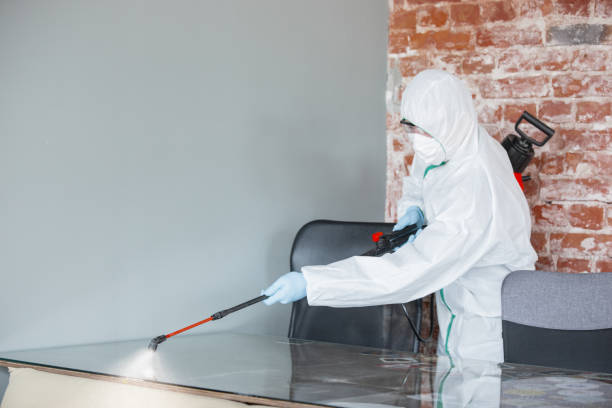 Best Mold Removal for HVAC Installations  in Vandenberg Village, CA